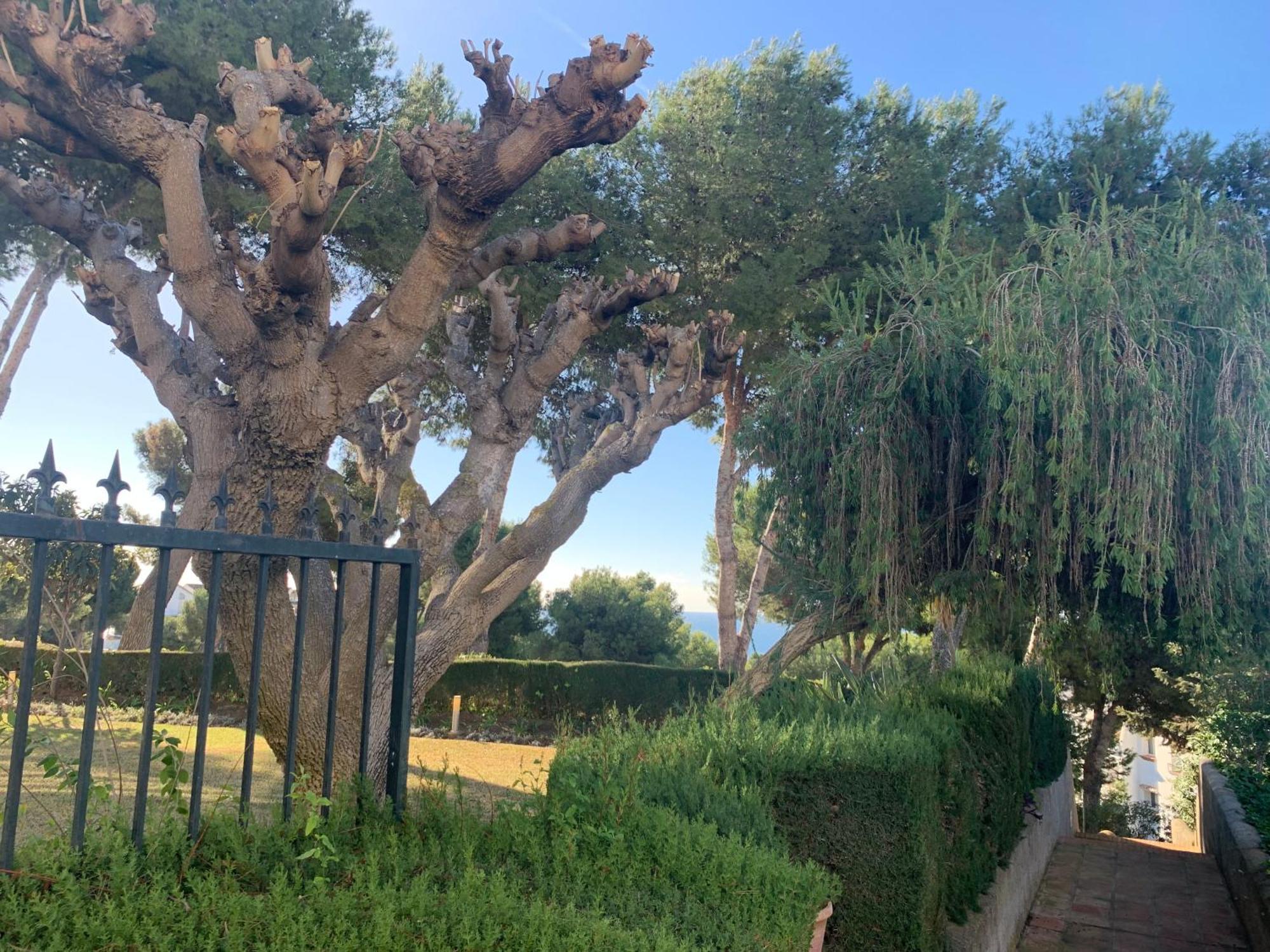 Jardin Miraflores La Cala De Mijas Exterior foto
